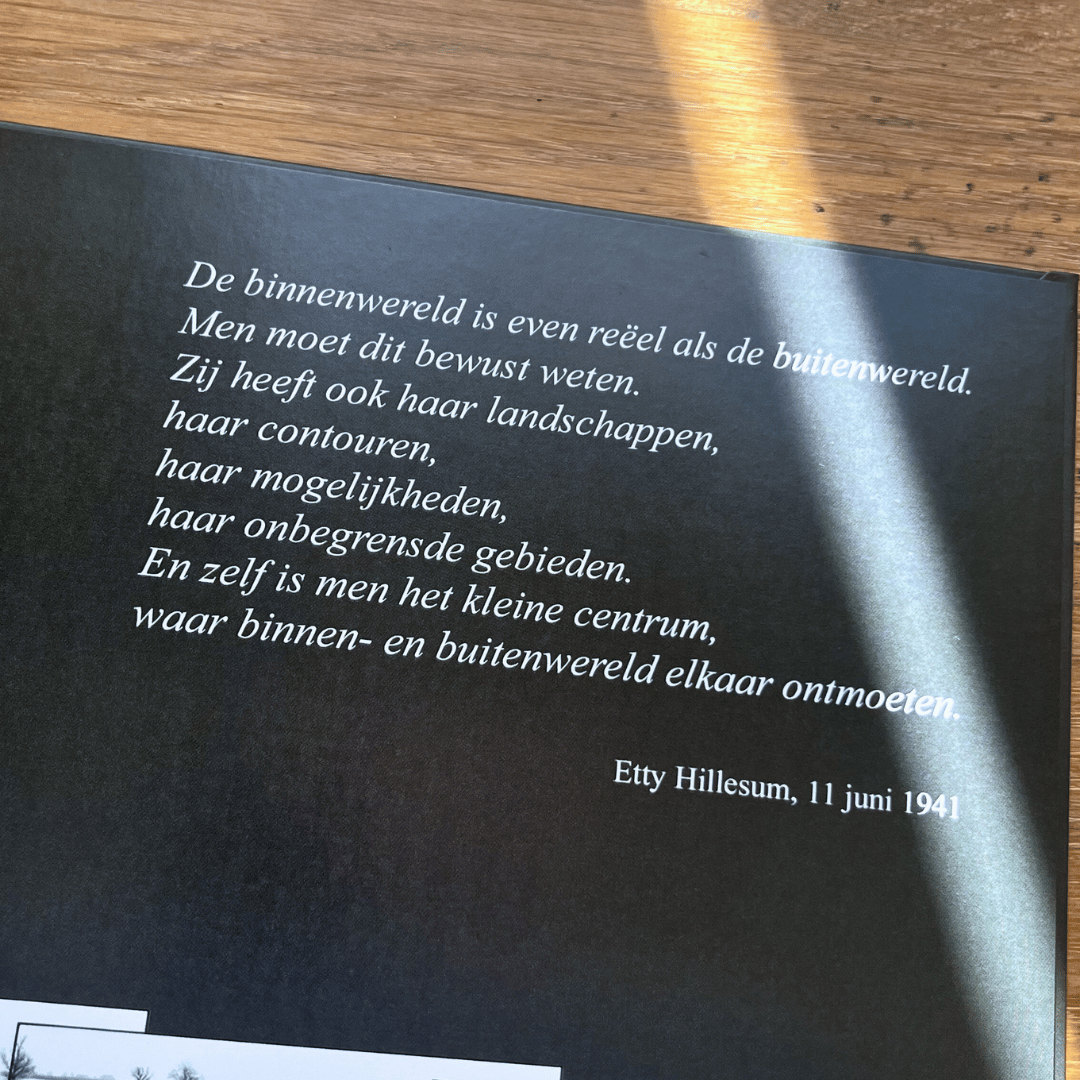 Etty Hillesum en het Ijssellandschap - Wicher Naberman (2)